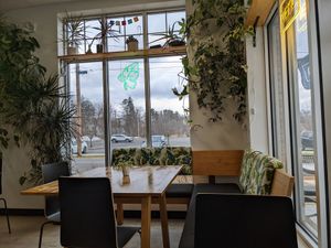 Interior at Rooted and Rind in Delmar