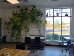 Indoor dining area at Rooted and Rind in Delmar