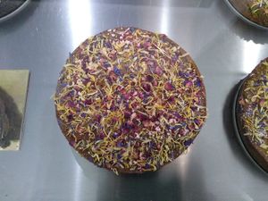 Vegan cake at Brutti Ma Buoni in Osimo