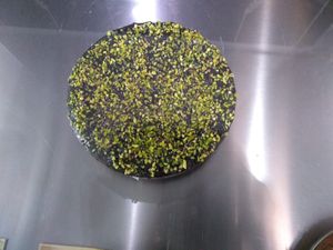 Vegan cake at Brutti Ma Buoni in Osimo