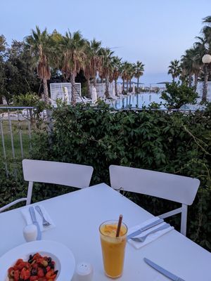Fresh pressed orange juice at Amadria Park Jure in Sibenik