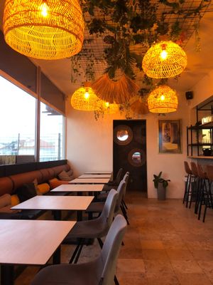  at Bone Free  in Costa Da Caparica