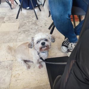  at Bone Free  in Costa Da Caparica