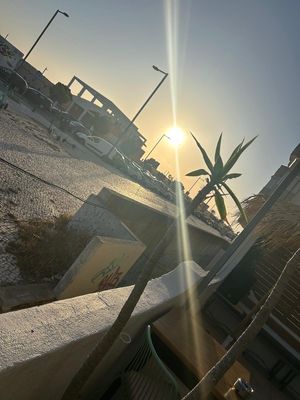  at Bone Free  in Costa Da Caparica