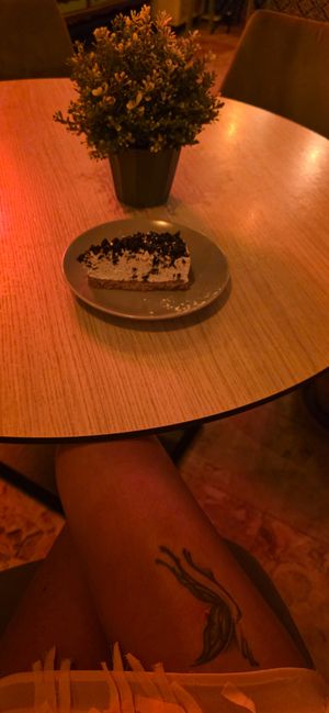  at Bone Free  in Costa Da Caparica