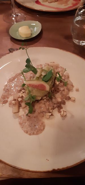  at Zwadderkotmolen in Oudenaarde