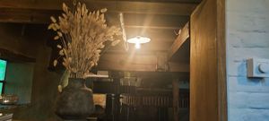  at Zwadderkotmolen in Oudenaarde