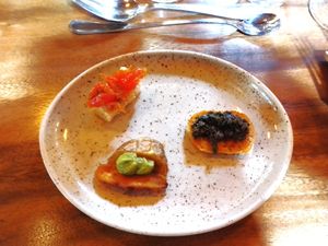  at Zwadderkotmolen in Oudenaarde