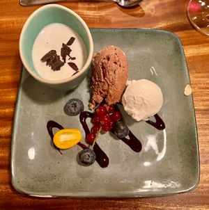 Vegan vanillecrème met chocolademousse
Ijs en bosbessencoulis at Zwadderkotmolen in Oudenaarde