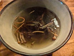 Dashi at Zwadderkotmolen in Oudenaarde