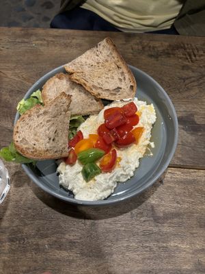   at Urbana 47 in Rome