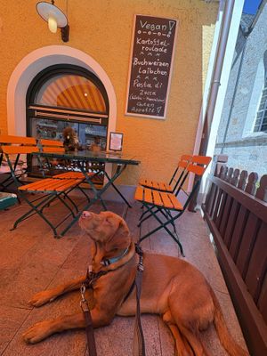   at Café Derbl in Hallstatt