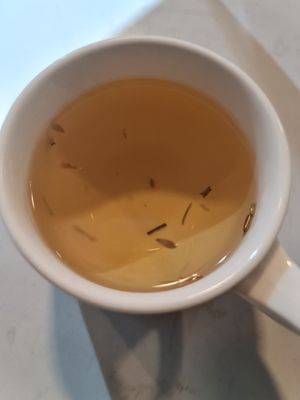Lavender Mint Tea ~ 1/10/21 at The Plant Food  in Central Singapore