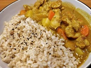 Japanese Monkey Head Mushroom Curry - Homemade Japanese curry with potato, carrots, and monkey head mushroom. Serve with choice of rice/udon. at The Plant Food  in Central Singapore