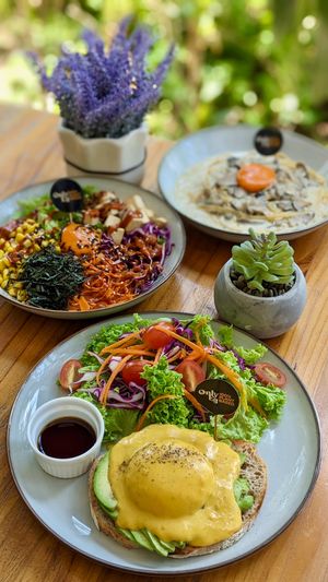 Vegan Avocado OnlyEg Benedict on Rye Sourdough, Vegan Moonlight Mushroom Carbonara with OnlyEg Yolk, Healthy Vegan Bibimbap with OnlyEg Yolk at The Plant Food  in Central Singapore