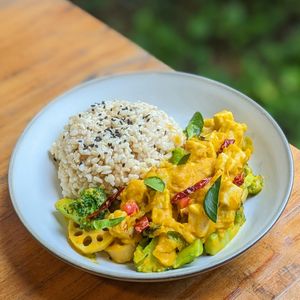 Vegan Salted “Egg” Tofu and Lotus Root with Brown Rice at The Plant Food  in Central Singapore