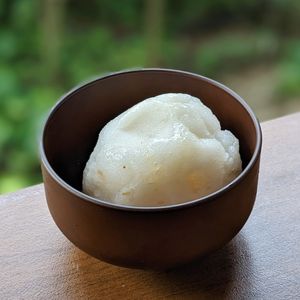 Vegan Lychee Sorbet at The Plant Food  in Central Singapore