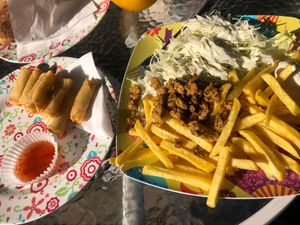 spring rolls and gyros on a plate at Loving Hut Express in Ljubljana