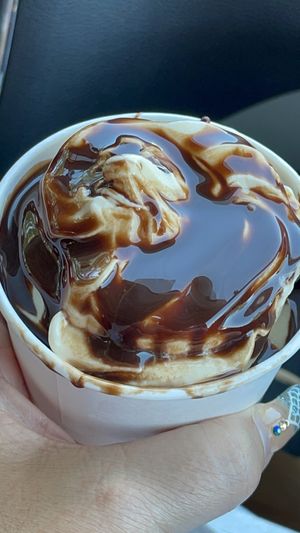 Oat milk ice cream   at Green Street Eatery in Levittown