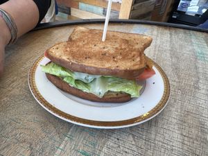 TLT  at Green Street Eatery in Levittown