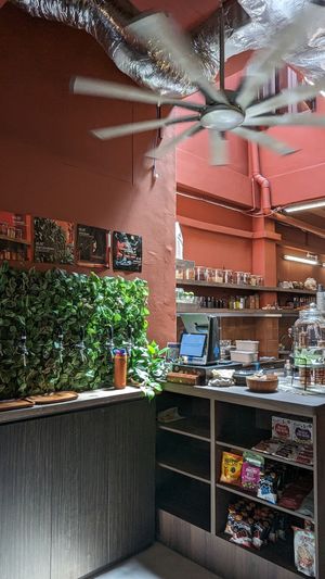 Kombucha taps, cashier at Ahimsa Sanctuary in Central Singapore
