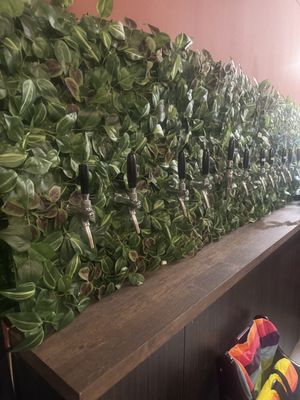 Booch on tap   at Ahimsa Sanctuary in Central Singapore