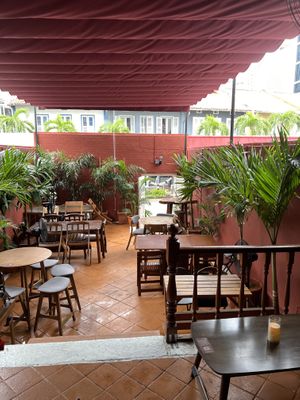   at Ahimsa Sanctuary in Central Singapore