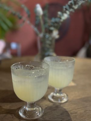  at Ahimsa Sanctuary in Central Singapore