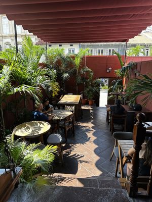 Area  at Ahimsa Sanctuary in Central Singapore