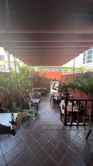   at Ahimsa Sanctuary in Central Singapore