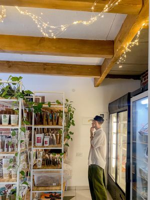  at Firefly's  in Lviv