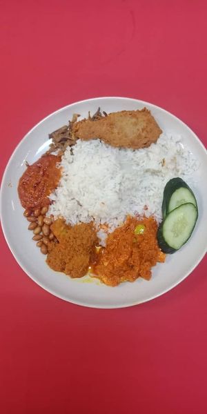 Royal Nasi Lemak at Anggun Vegetarian in Rawang