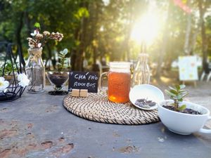 Chá frio Rooibos at Casa de Chá  in Coimbra