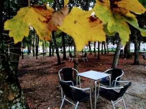 Esplanada da Casa de Chá at Casa de Chá  in Coimbra