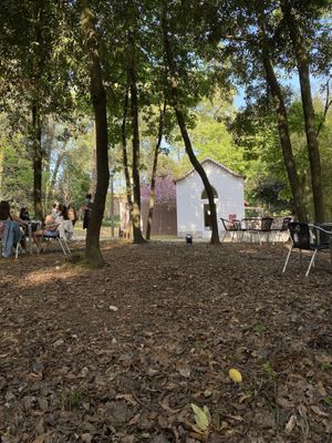 Esplanada da Casa de Chá at Casa de Chá  in Coimbra