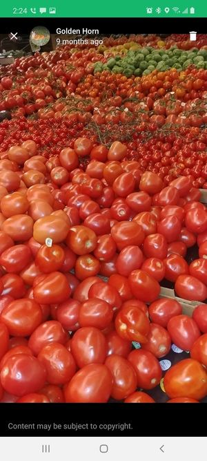 Romas! at Central Market in San Antonio