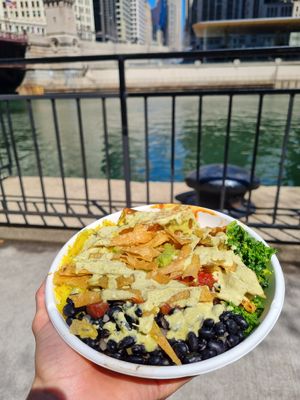 Yucatan Mayan at Plant Junkie Chicago in Chicago