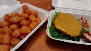 Tator Tots - so crispy - and Urban Junkie classic burger at Plant Junkie Chicago in Chicago