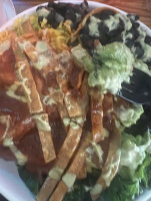   at Plant Junkie Chicago in Chicago