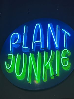   at Plant Junkie Chicago in Chicago