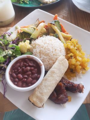 Casado vegan at Soda Sánchez in Quepos