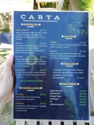  at Lemu Vegan in Villarrica