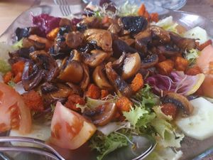  at Shangri-La in Merida