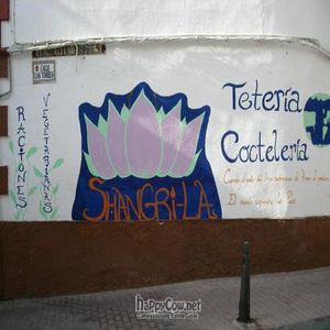  at Shangri-La in Merida