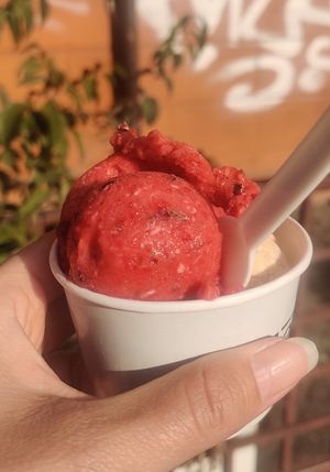 Strawberry with chocolate chips and salted peanuts (3€). at Otaleg in Rome