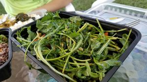 Rocket & Mixed Nuts Salad 火箭菜什錦堅果 (Photo by Vegan Olis Chan) at Garden Cafe 新輝茶室 in Outlying Islands
