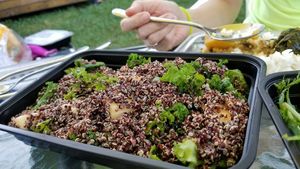 Quinoa & Green Apple Salad 藜麥及青蘋果沙律 (Photo by Vegan Olis Chan) at Garden Cafe 新輝茶室 in Outlying Islands