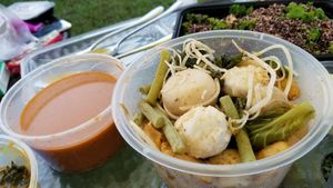 Vegan Balls Laksa 素丸喇沙 (Photo by Vegan Olis Chan) at Garden Cafe 新輝茶室 in Outlying Islands