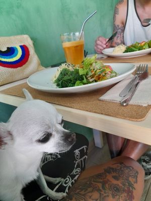 Maravilhoso! Voltaremos certamente 🤍💚 at Bancha in Portimao