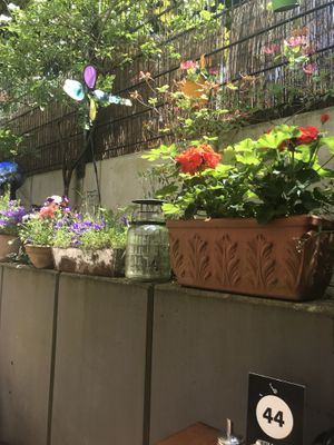 Kleine Oase im Hinterhof  at Zweibar in Essen